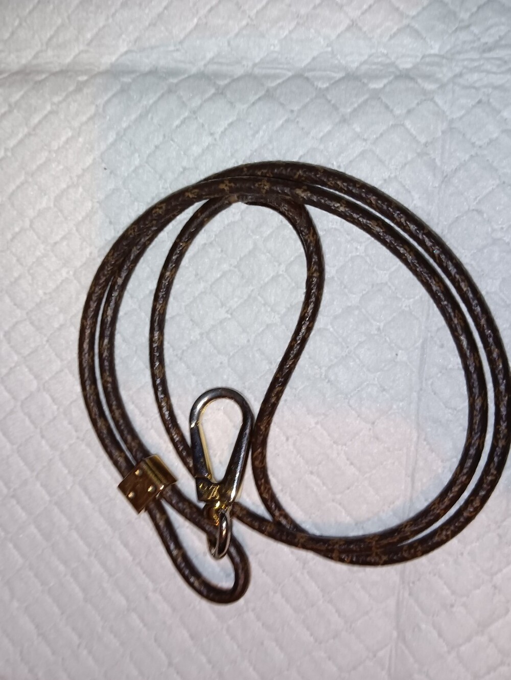 Louis Vuitton Monogram Crossbody Dog Leash